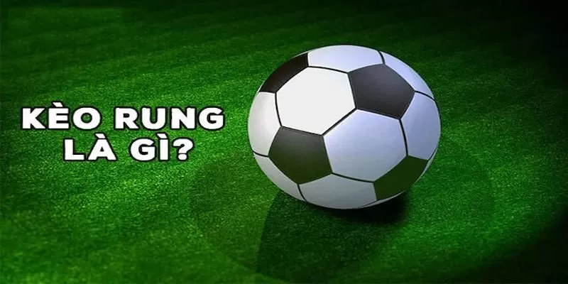 K&egrave;o rung xuất hiện ng&agrave;y c&agrave;ng nhiều tại c&aacute;c nh&agrave; c&aacute;i hiện nay